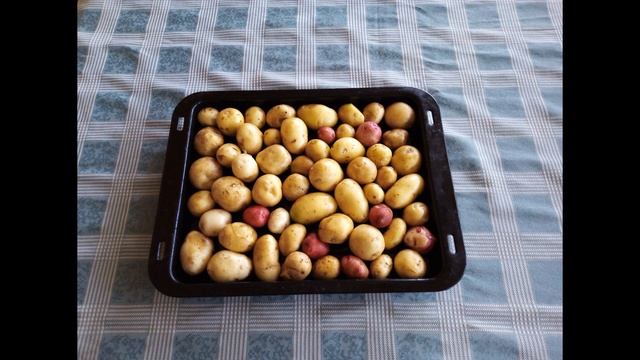 Не выбрасывайте мелкий картофель. Деликатес из мелкого картофеля. Бизнес на картошке смотреть онлайн