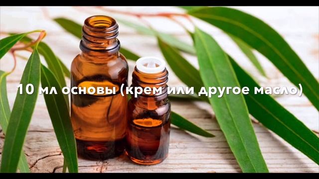 Что лечит эвкалипт? Масло эвкалипта в борьбе с клещами. смотреть онлайн