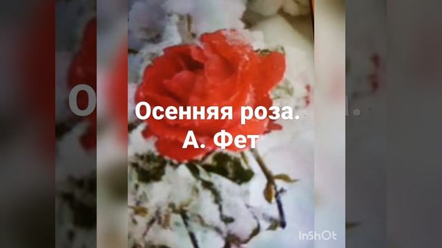 Осенняя роза. А.Фет смотреть онлайн