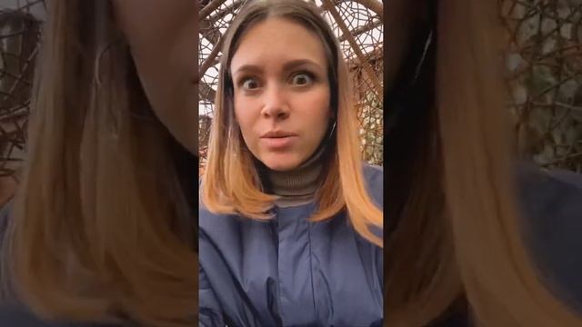 Як доглядати за мохом? смотреть онлайн
