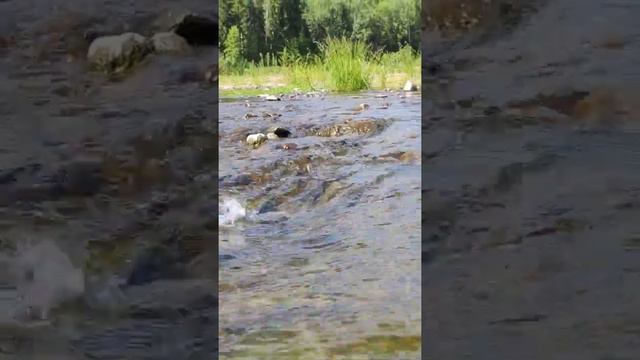 5 июля 2023 г. смотреть онлайн