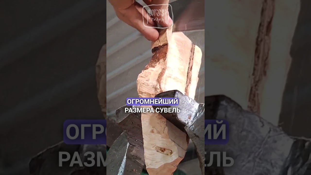 КАК СДЕЛАТЬ РУКОЯТКУ НОЖА ИЗ СУВЕЛЯ? #выживание #бушкрафт #diy #forestroach #сделайсам смотреть онлайн