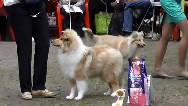 НВК 2014 г Класс беби смотреть онлайн