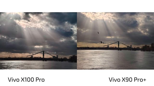 Vivo X100 Pro vs X90 Pro+ - Camera Comparison - Pro vs Pro+ смотреть онлайн