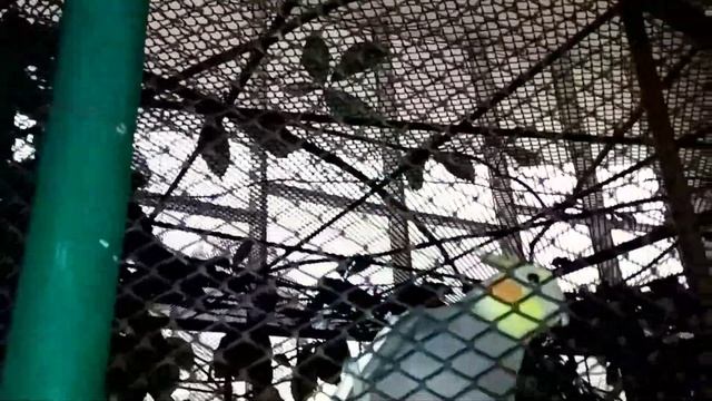 Бекстейдж - Кинотеатр "Октябрь" смотреть онлайн