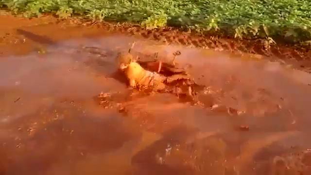 Танки грязи не боятся! Главное -верить,что ты танк! смотреть онлайн