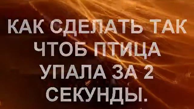 Птица упала за 2 секуны смотреть онлайн