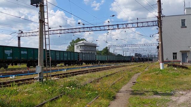 Грузовой поезд на станции Волковская