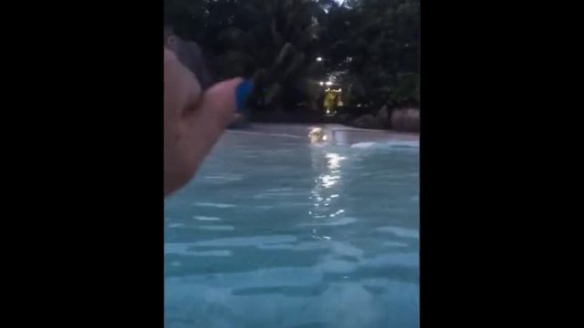 Лена Баранова в сторис 28 11 2018 Пока, Сейшелы смотреть онлайн