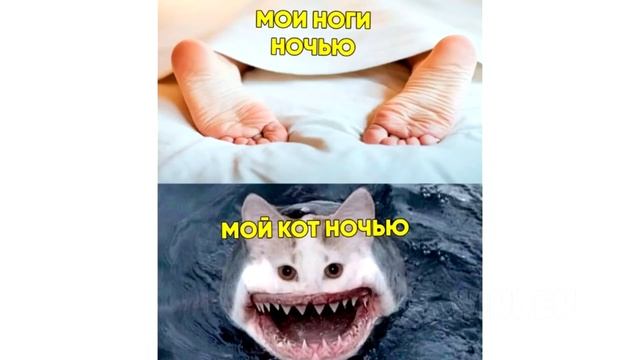 ЗАЩИТА ДОКТОРСКОЙ! ЛУЧШИЕ МЕМЫ ИНТЕРНЕТА! смотреть онлайн