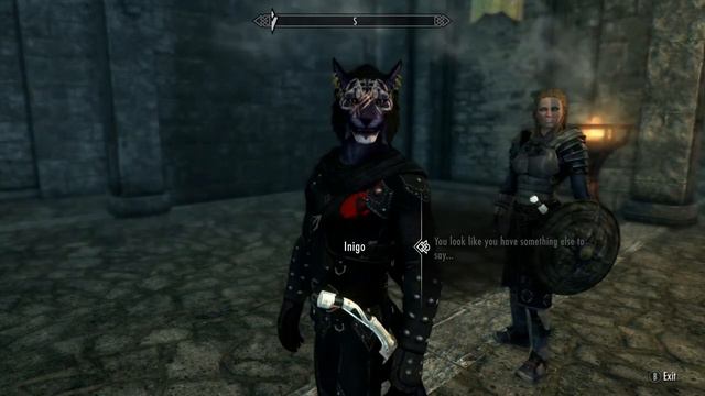Skyrim: Inigo Is Concerned