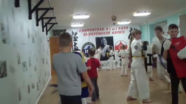 Климовская Федерация Киокусинкай Каратэ. Западная, 12. Тренировки январь 2016 года смотреть онлайн