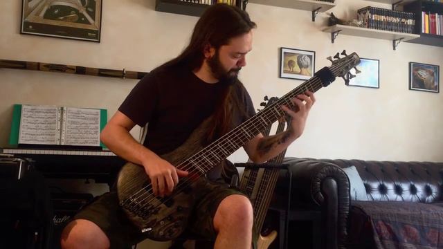 Classical Music Series - FLIGHT OF THE BUMBLEBEE on a 6 String Bass смотреть онлайн