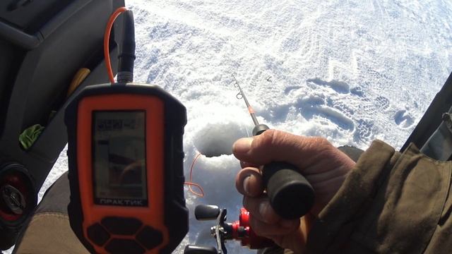 Очередной выезд за судаком на обском водохранилище смотреть онлайн