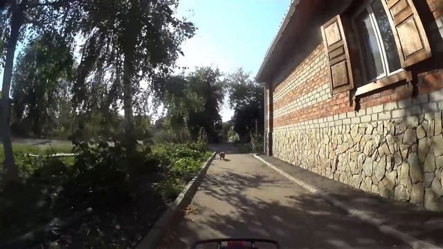 Такса против Перца (перцового баллончика Контроль УМ) тюменский газовый баллончик смотреть онлайн