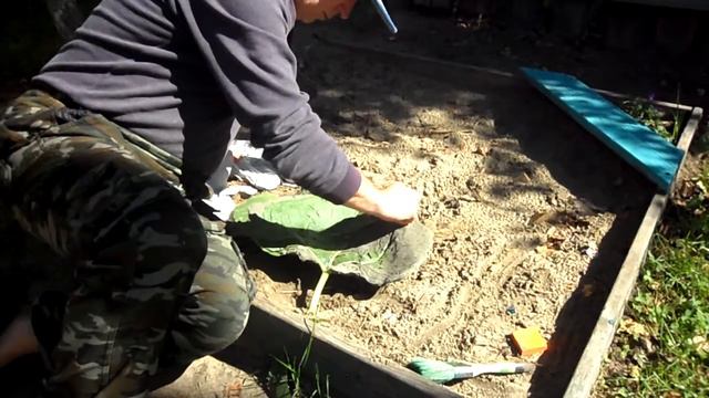 Цемент и лист подсолнуха! смотреть онлайн