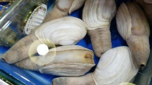 Рыбный рынок - Первый ночной рынок на о. Хайнань г. Санья. Exotic food. Экзотическая рыба.mp4