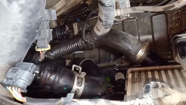 Hyundai Verna 1.6l Coolent Change. Coolant Kase Badle