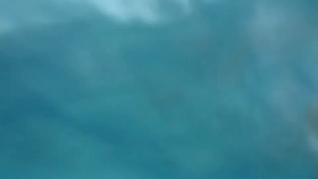 ПОДВОДНЫЙ VLOG ? смотреть онлайн