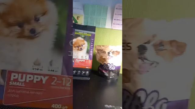 Чем правельно кормить породистую собаку смотреть онлайн