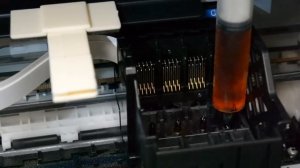 Как прочистить печатающую головку Epson