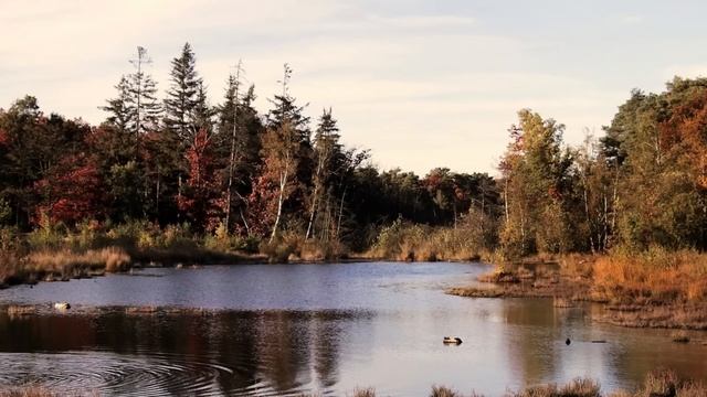 Ты хотела привязать меня своим сыном? - смеялся бывший. А Кира лишь улыбнулась, ведь сегодня был... смотреть онлайн