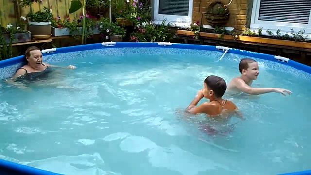 Акула в бассейне смотреть онлайн