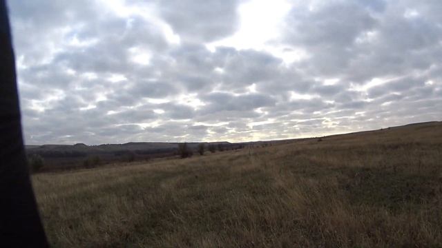 Охота на зайца с Ягдтерьером . смотреть онлайн