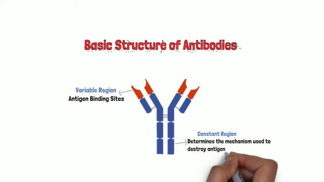 what are antibodies? смотреть онлайн