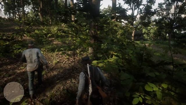 Red Dead Redemption 2 - Companion Activity #6 - Home Robbery (Sean) смотреть онлайн