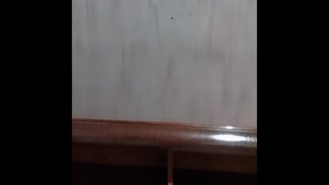 VID20240906180534 смотреть онлайн