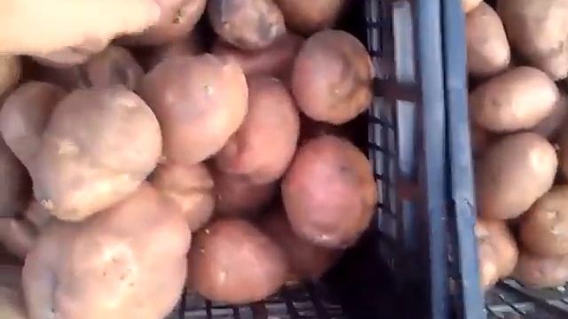 Красный Лиман смотреть онлайн