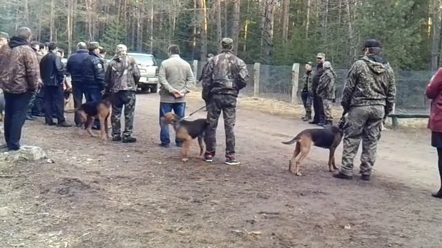 Беларускi ганчак смотреть онлайн