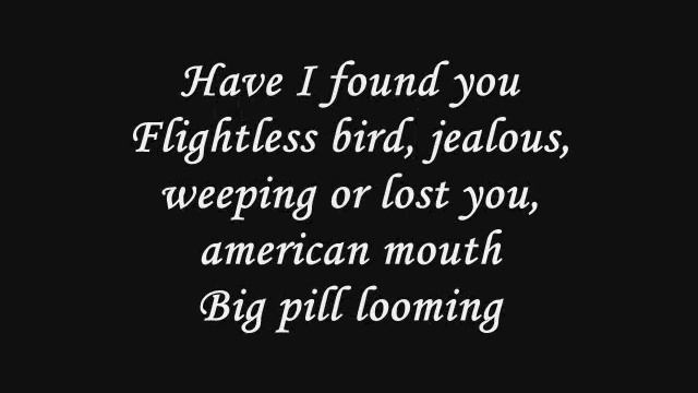 Flightless Bird Lyrics смотреть онлайн