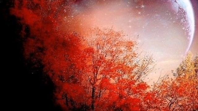 Новолуние 1 февраля 2022.Что принесет Тигр? смотреть онлайн