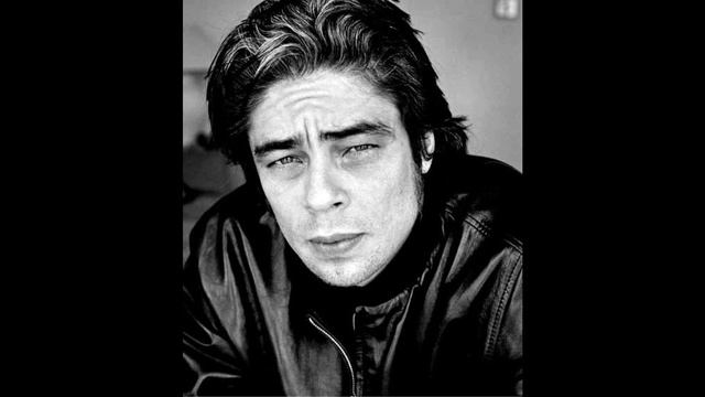 Benicio Del Toro