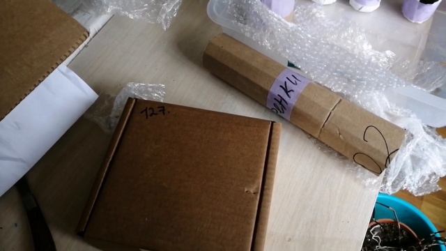 посылочка по обмену с Краснодара. смотреть онлайн