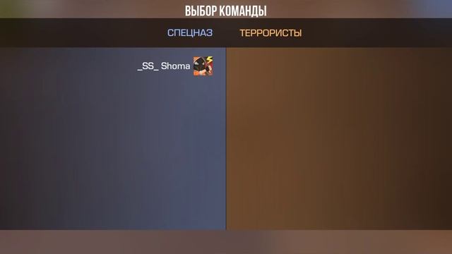 СПЕЦНАЗ и ТЕРРОРИСТЫ смотреть онлайн