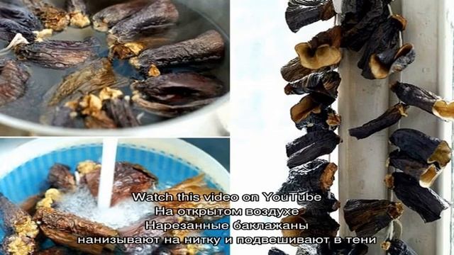 Как сушить баклажаны на зиму в домашних условиях правильно: 3 лучших способа смотреть онлайн