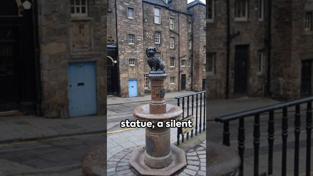Loyal Forever: The Tale of Greyfriars Bobby #royallovestory смотреть онлайн