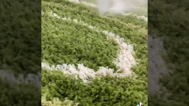 Чистка ковров в г.Черкассы смотреть онлайн