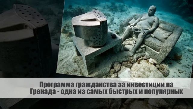 Кулинарный Форум