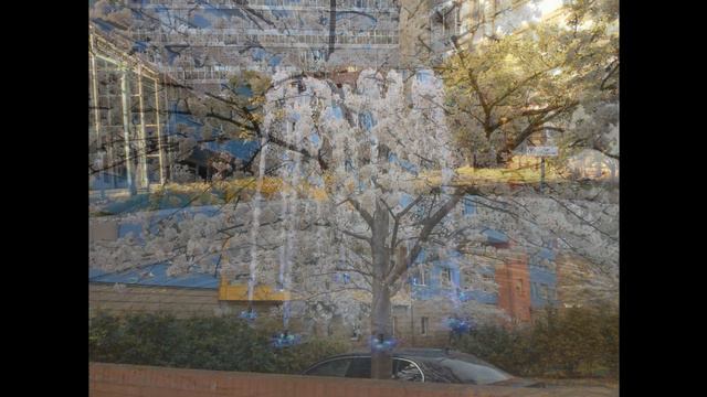 #Зарисовка#Саксофон# смотреть онлайн