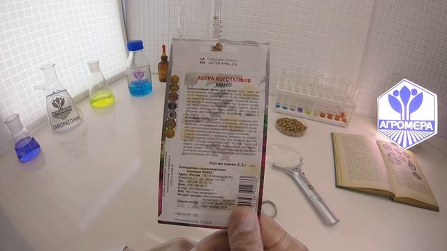 Астра Коготковая Камео. Ваше Хозяйство смотреть онлайн