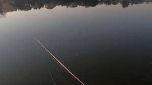 Поплавок херабуна в работе.