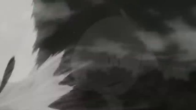 Наруто приколы 7 *_* смотреть онлайн