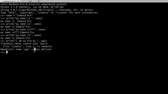 11 Printing Variables смотреть онлайн