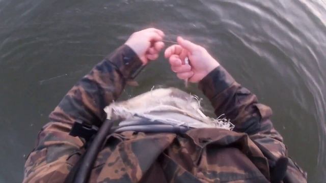 БАРЕНЦЕВО МОРЕ ? РЫБАЛКА. ПОКАЗЫВАЮ ОТЛИЧИЯ БЕЛОЙ РЫБЫ ! смотреть онлайн