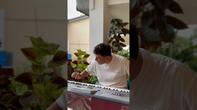 Сакит Самедов в гостях у мамы смотреть онлайн