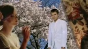 Расцвела у окошка белоснежная вишня